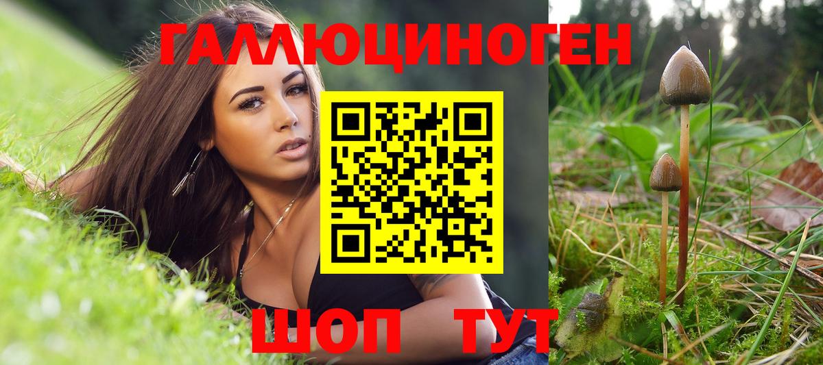 Сергиев Посад  Галлюциногенные грибы ЛСД  Псилоцибиновые грибы GOLDEN TEACHER  Вход с VPN 