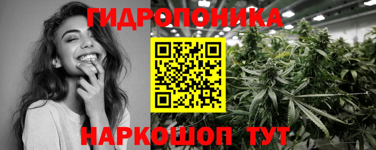 Сергиев Посад  Бошки марихуана индика  Вход с VPN  Бошки марихуана ГИДРОПОН  Канабис тримм 